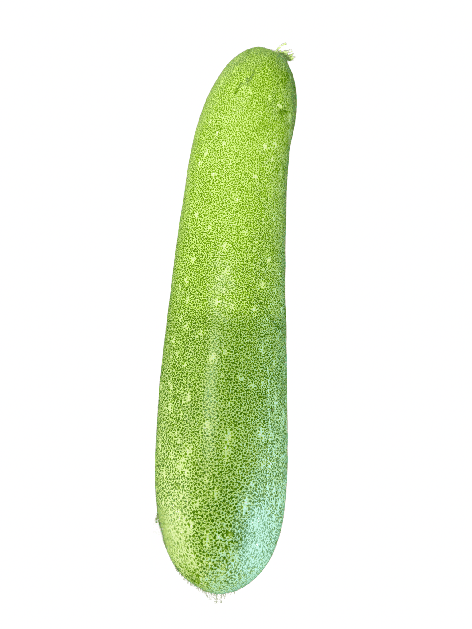 ផ្លែត្រឡាច
